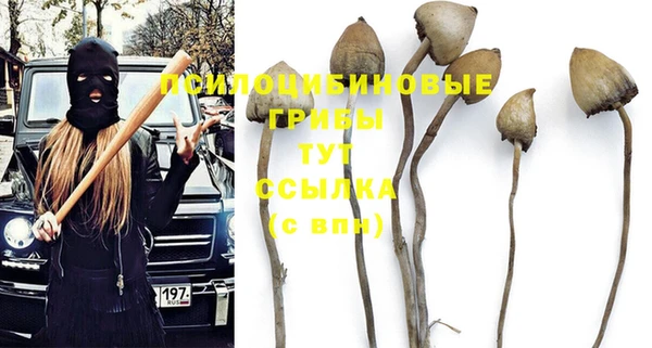 дживик Белокуриха