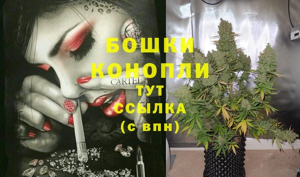 дживик Белокуриха