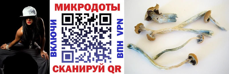 хочу   Маркс  Псилоцибиновые грибы мицелий 